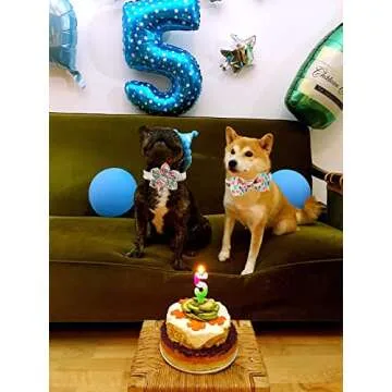 Unique style paws Dog Collar with Flower, Adjustable Birthday Dog Collar Flower Pattern, Durable Pet Collar for Small Medium Large Dogs