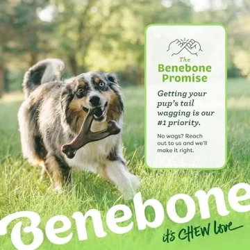 Benebone Wishbone Dog Chew Toy for Aggressive Chewers