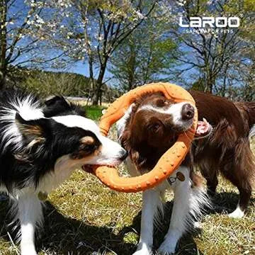 LaRoo Dog Toys for Large Dogs - Fun Floatable Dog Discs