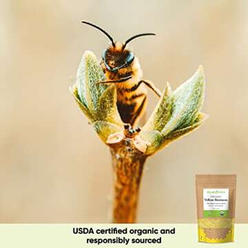 Sky Organics Organic Yellow Beeswax Pellets, 100% Pure USDA Certified Organic for DIY & Craft Projects, 16 Oz