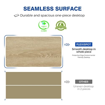 FLEXISPOT Electric Adjustable Desk Ergonomic Memory Controller