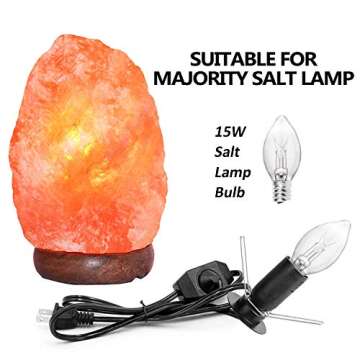 OHLGT Salt Lamp Cord and Bulbs Set - 5 Feet with Dimmer