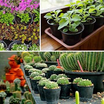 Ohuhu Extra-Thickened 6 Inch Plastic Plant Nursery Pots, 28 Pack Planting Pots with Drainage Holes & Plant Labels, Small Starter Planter Flower Pot for Seedling Succulents Cutting Transplanting