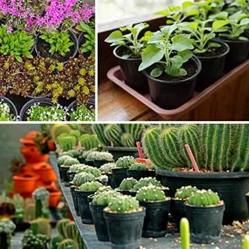 Ohuhu Extra-Thickened 6 Inch Plastic Plant Nursery Pots, 28 Pack Planting Pots with Drainage Holes & Plant Labels, Small Starter Planter Flower Pot for Seedling Succulents Cutting Transplanting