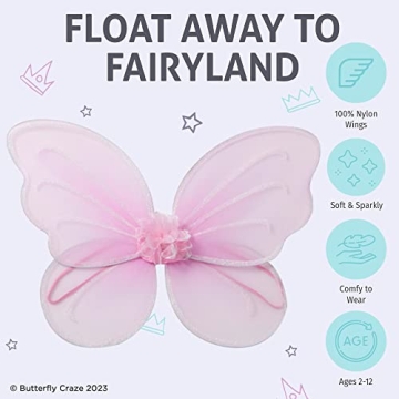 Butterfly Craze Colorful Fairy Wings - 4 Pack for Kids