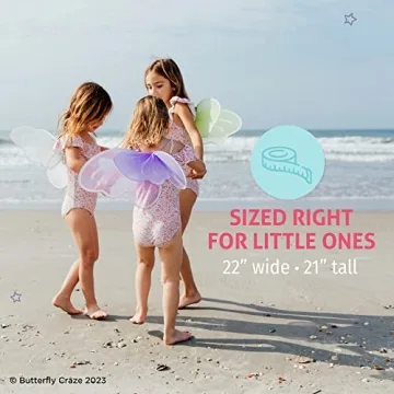 Butterfly Craze Colorful Fairy Wings - 4 Pack for Kids