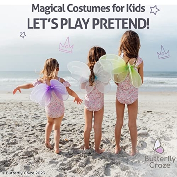 Butterfly Craze Colorful Fairy Wings - 4 Pack for Kids