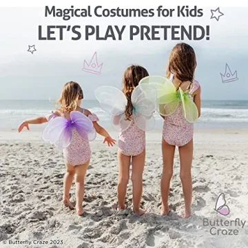 Butterfly Craze Colorful Fairy Wings - 4 Pack for Kids