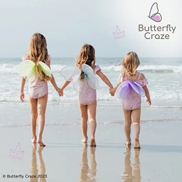 Butterfly Craze Colorful Fairy Wings - 4 Pack for Kids