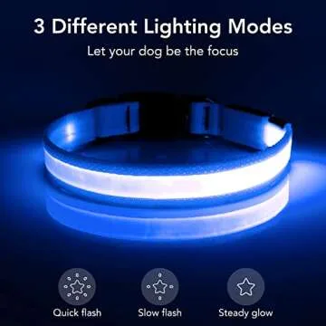 Vizpet LED Dog Collar, Light Up Dog Collar Adjustable USB Rechargeable Super Bright Safety Light Glowing Collars for Dog(Large,Blue)