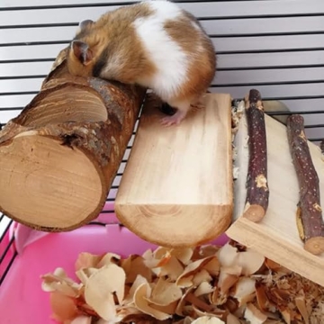 BILLIOTEAM Natural Wood Bird Perch for Small Birds