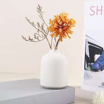 Ceramic Vase for Home Decor,Ceramic Vase, Dried Flower Vase, Living Room Decoration, Flower Arrangement Decoration Shooting Props(White)