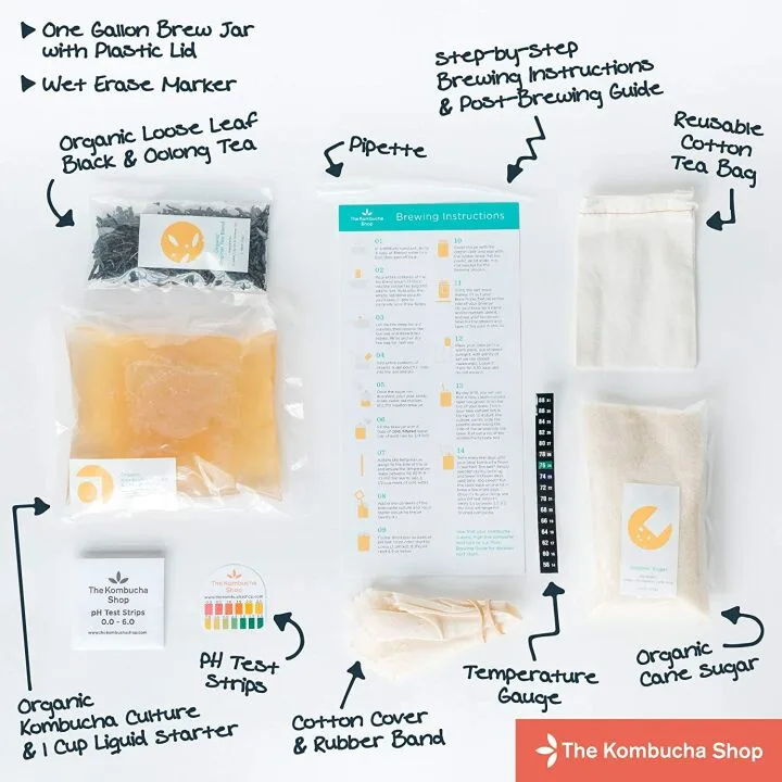 Organic Kombucha Starter Kit for Home Brewing