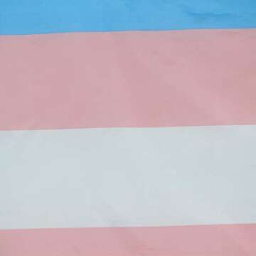 Flaglink Transgender Pride Flag 3x5 Fts - Trans Rainbow Banner