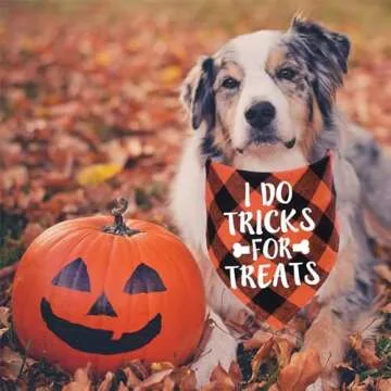 STMK Holiday Dog Bandanas for Every Occasion