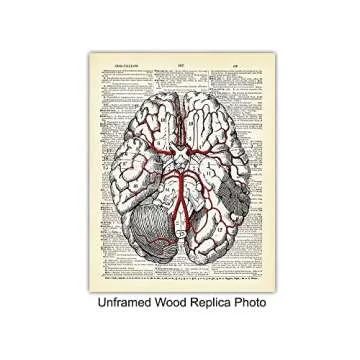 Vintage Anatomy Organs Goth Dictionary Decor - 8x10 Unframed Upcycled Prints Set for Home or Doctor ...