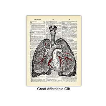 Vintage Anatomy Organs Goth Dictionary Decor - 8x10 Unframed Upcycled Prints Set for Home or Doctor Office - Unique Steampunk Home Wall Art Decor - Gift for Doctor, Nurse, PA, Med Student