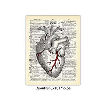 Vintage Anatomy Organs Goth Dictionary Decor - 8x10 Unframed Upcycled Prints Set for Home or Doctor Office - Unique Steampunk Home Wall Art Decor - Gift for Doctor, Nurse, PA, Med Student