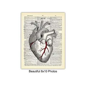 Vintage Anatomy Organs Goth Dictionary Decor - 8x10 Unframed Upcycled Prints Set for Home or Doctor Office - Unique Steampunk Home Wall Art Decor - Gift for Doctor, Nurse, PA, Med Student