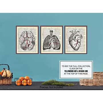 Vintage Anatomy Organs Goth Dictionary Decor - 8x10 Unframed Upcycled Prints Set for Home or Doctor Office - Unique Steampunk Home Wall Art Decor - Gift for Doctor, Nurse, PA, Med Student