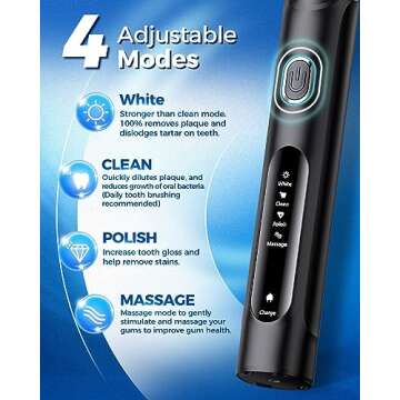 TEETHEORY Rotating Electric Toothbrush for Adults with 8 Brush Heads (2 Types), 4 Modes Deep Clean Electric Toothbrush with Rechargeable Power and 2 Min Smart Timer, Fast Charge (Black)