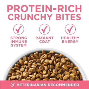 Purina ONE High Protein, Natural Dry Kitten Food, +Plus Healthy Kitten Formula - 16 lb. Bag