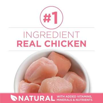 Purina ONE High Protein Kitten Food for Healthy Growth