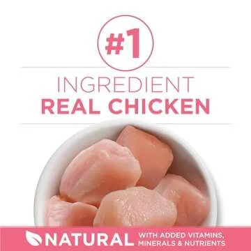 Purina ONE High Protein Kitten Food for Healthy Growth