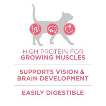 Purina ONE High Protein Kitten Food for Healthy Growth