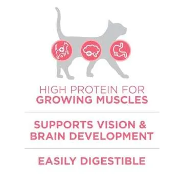 Purina ONE High Protein Kitten Food for Healthy Growth