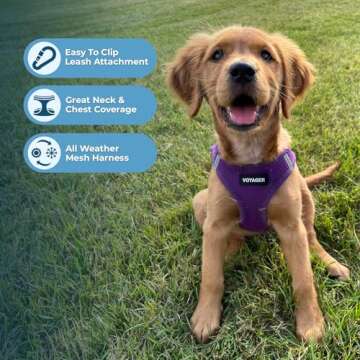 Voyager Step-in Air Dog Harness - Safety & Comfort for Pets