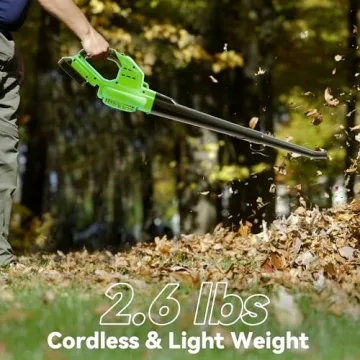 Lightweight 20V Cordless Leaf Blower with 2 Batteries