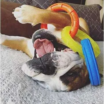 Nerf Dog 10.5in Rubber 3-Ring Tug Dog Toy, Lightweight, Durable and Water Resistant, Single Unit, Blue/Green/Orange