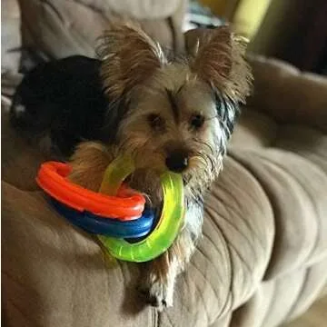 Nerf Dog 10.5in Rubber 3-Ring Tug Dog Toy, Lightweight, Durable and Water Resistant, Single Unit, Blue/Green/Orange