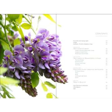 The Layered Garden Year-Round Design Guide