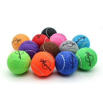 Magicorange 12 Pack Training Tennis Balls with Mesh Bag