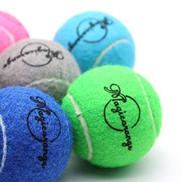 Magicorange 12 Pack Training Tennis Balls with Mesh Bag