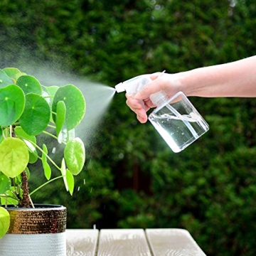 Youngever Clear Square Spray Bottles - 5 Pack, 12 oz