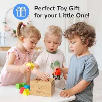 Bimi Boo Wooden Shape Sorter Toy for Babies - Premium Shape Sorter with Noise-Reducing Silicone Pad - Classic Montessori Toy for Toddlers (8 Various Blocks, 1 Box, 1 Silicone Pad)