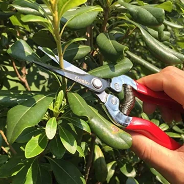 gonicc 8" Bypass Pruning Shears and Micro-Tip Snips