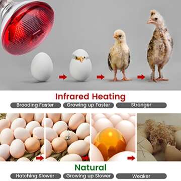 YEAOI 150 Watt Heat Lamp for Birds and Reptiles - Infrared Red Light Bulb