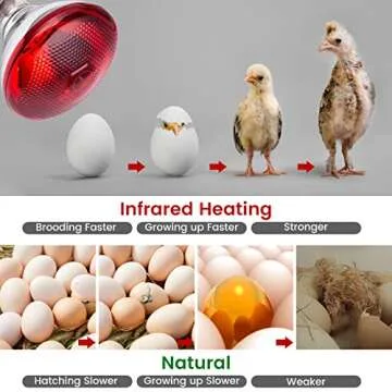 YEAOI 150 Watt Heat Lamp for Birds and Reptiles - Infrared Red Light Bulb