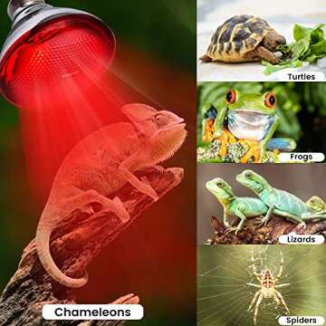 YEAOI 150 Watt Heat Lamp for Chickens and Reptiles