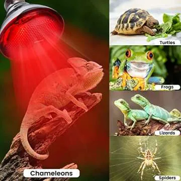 YEAOI 150 Watt Heat Lamp for Chickens and Reptiles