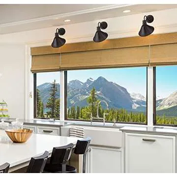 Trade Winds Lighting TW50006ORB Industrial Retro Vintage Gooseneck Barn 1-Light Transitional Wall Sconce, 100 Watts, in Oil Rubbed Bronze