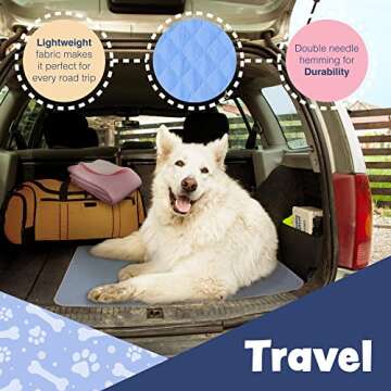 2 Pack Washable Reusable Pee Pads for Dogs | XL (39" x 31") Blue, Pink | 100% Waterproof & Extra Absorbent Incontinence Bed Pads | Large Non-Slip Puppy Pads | Pet Training & Housebreaking