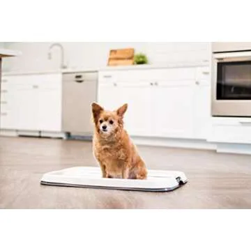 IRIS USA Pee Pad Holder, Medium Dog Pad Holder, Secured Latches, Non-Skid Rubber Feet, High Polish Finish for Easy Cleaning, Leak Protection Indoor Potty Tray, Dark Gray