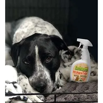 Earthworm Pet Stain Remover & Odor Eliminator - Urine Eliminator Natural Enzyme Formula, Fragrance Free Spray - 22 oz