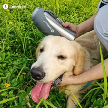 LumoLeaf Portable Dog Water Bottle 27 OZ, Stainless Steel Pet Travel Water Bottle Dispenser for Walking, Hiking and Outdoor, Portable Water Bowl for Large Dogs (Grey)
