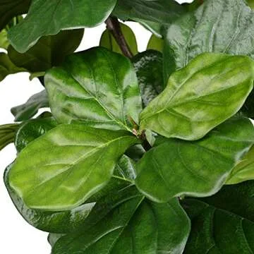 Lifelike 10ft Faux Fiddle Leaf Fig Tree for Home Decor
